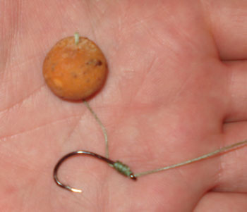 Freshwater Phil hand tied hair rigs for carp fishing