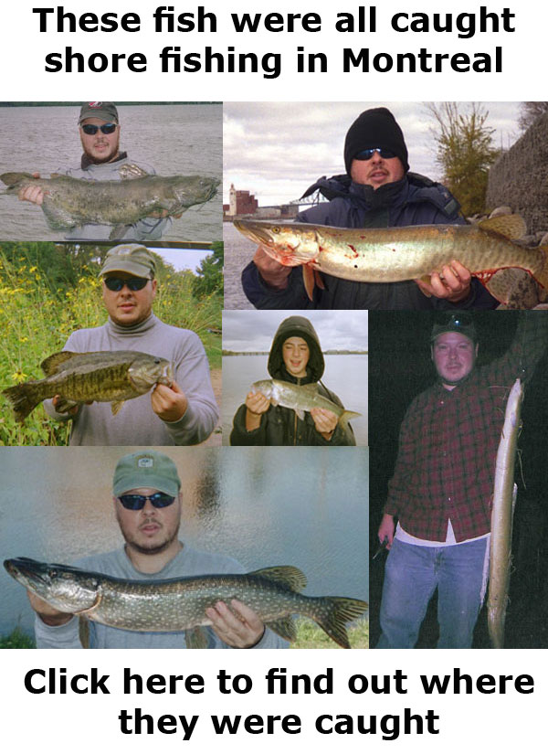 Montreal's fishing spots