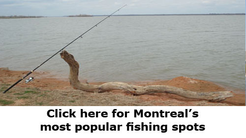 Montreal's best shore fishing spots