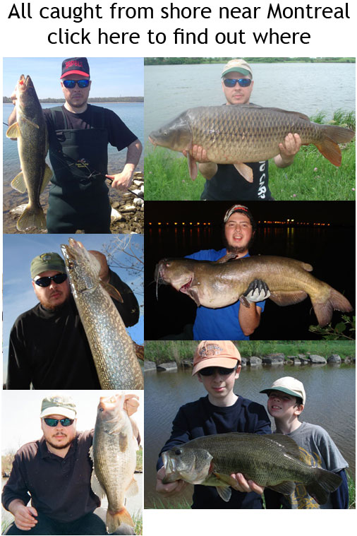 Freshwater sport fishing in Montreal, Quebec and Ontario.: Fishing for buffs  (buffalo) in Texas