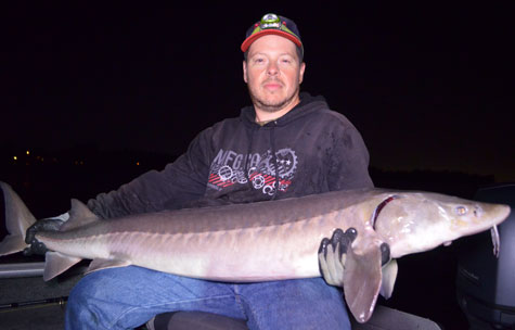 Freshwater sport fishing in Montreal, Quebec and Ontario.: Giant lake  sturgeon near Montreal