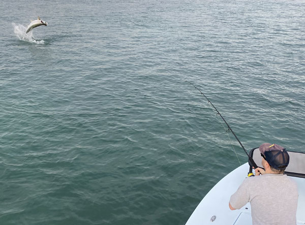 Freshwater sport fishing in Montreal, Quebec and Ontario.