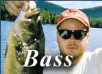 Bass Click Here