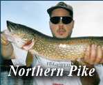 Northern Pike Click Here