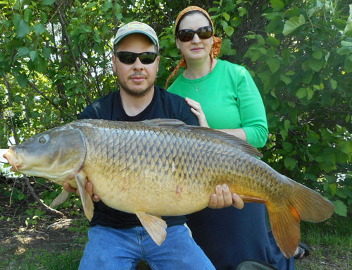 How to Get Ready For Spring Carp Fishing - Fish'n Canada