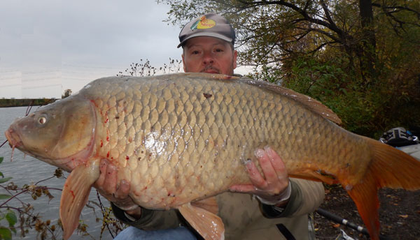 Tie this great bottom bait rig for catching big carp in estate lakes